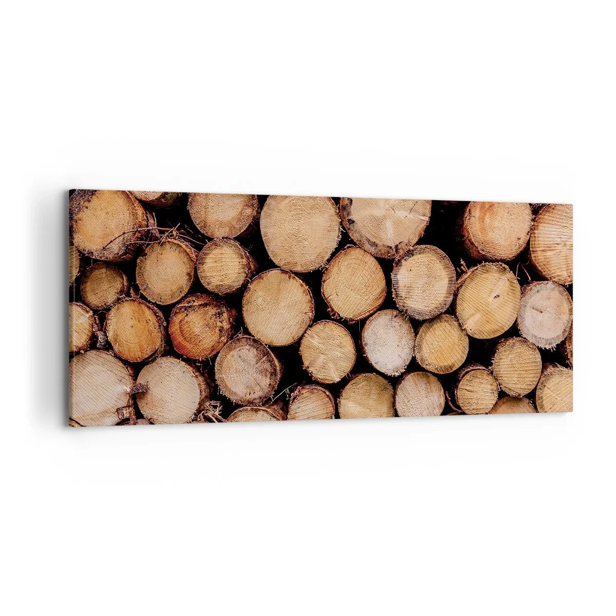 Quadro em tela - Um novo começo - 120x50 cm