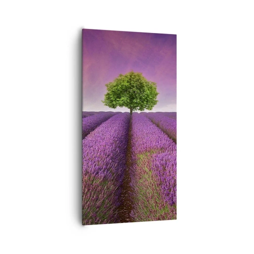 Quadro em tela - Nos campos de lavanda - 65x120 cm
