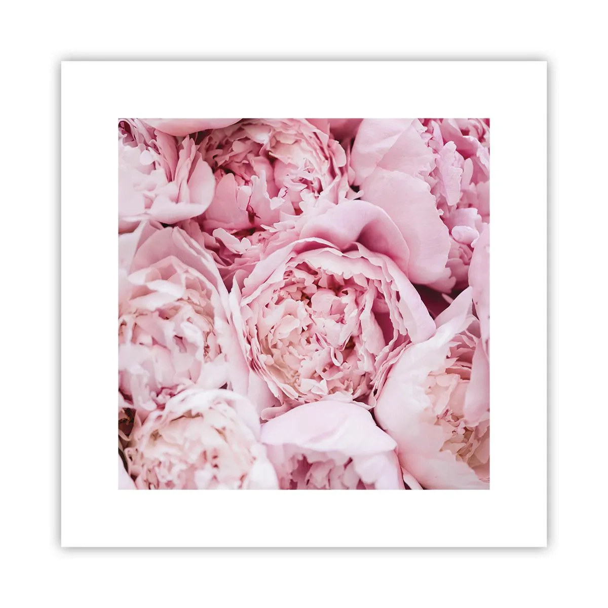 Pôster - Aconchego e perfume - 30x30 cm