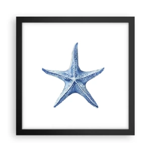 Pôster com moldura preta - Estrela do mar - 30x30 cm