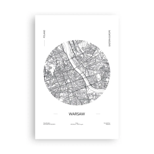 Pôster - Anatomia de Varsóvia - 61x91 cm