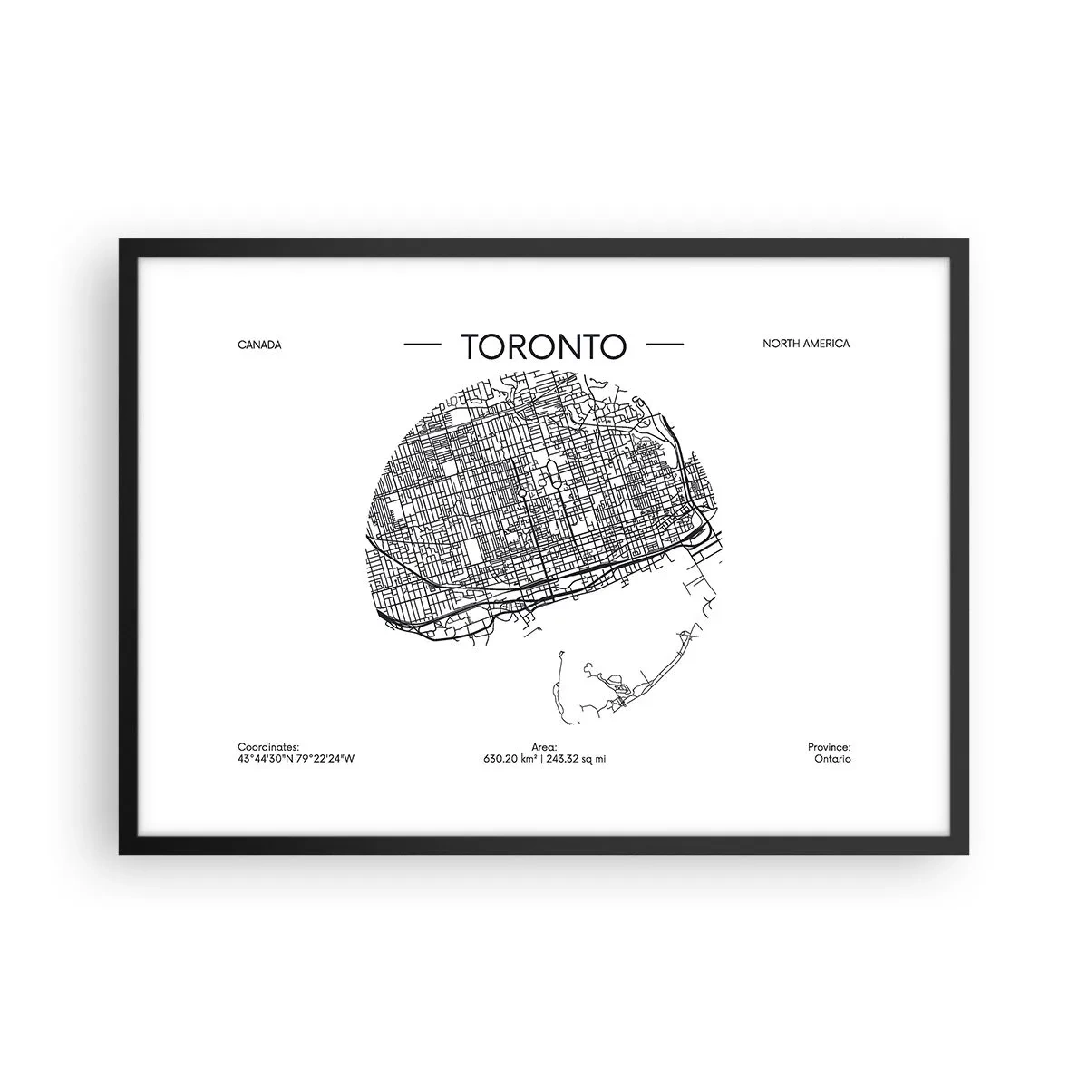 Pôster com moldura preta - Anatomia de Toronto - 70x50 cm