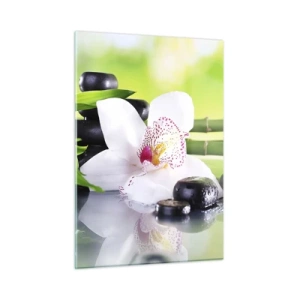 Quadro em vidro - Frescor e vigor - 50x70 cm