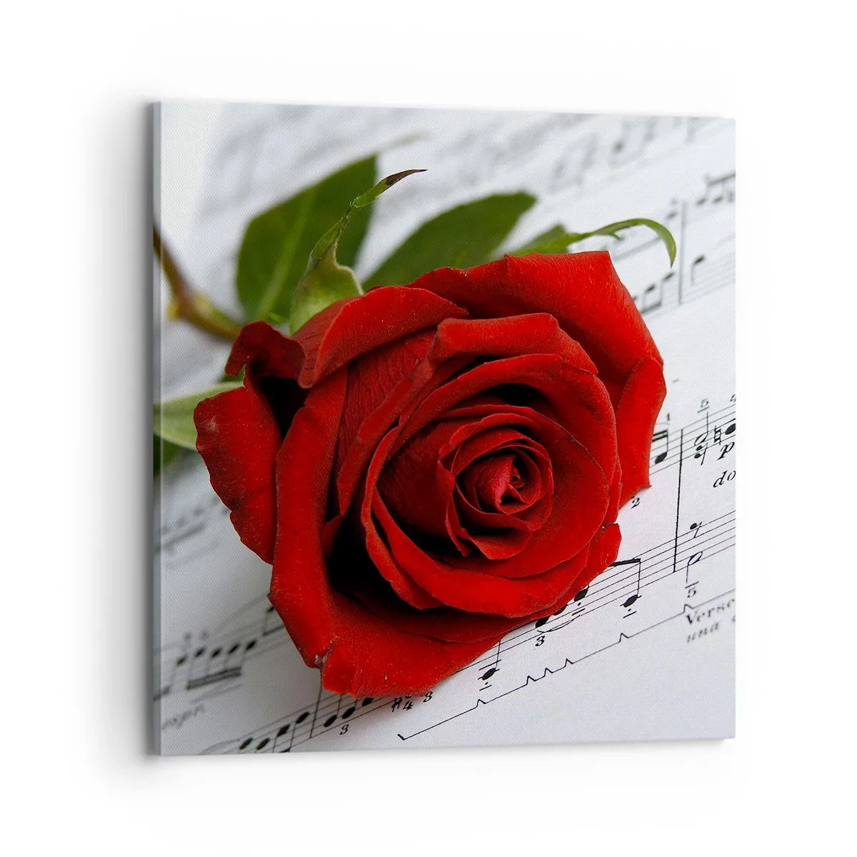 Quadro em tela - Música de sentimentos em escarlate - 70x70 cm