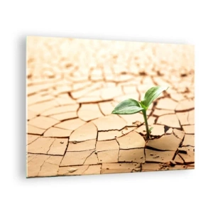 Quadro em vidro - Uma planta jovem crescendo em terra seca e rachada - 70x50cm - A força indomável da vida - Decoração de parede moderna para a sala de estar e quarto ARTTOR