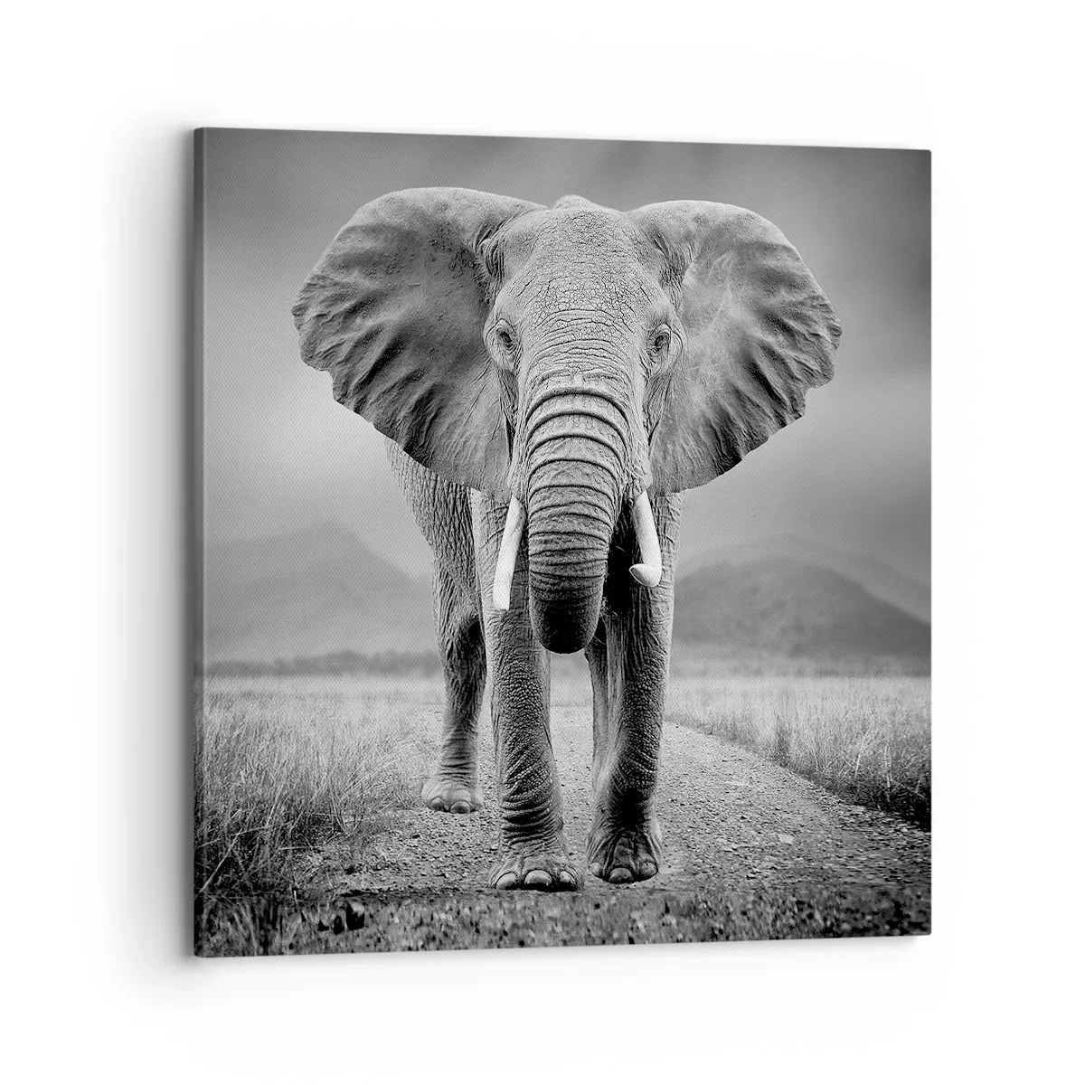 Quadro em tela - O anfitrião dá as boas-vindas - 70x70 cm