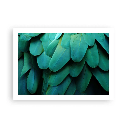 Pôster - Precisão de papagaio - 70x50 cm