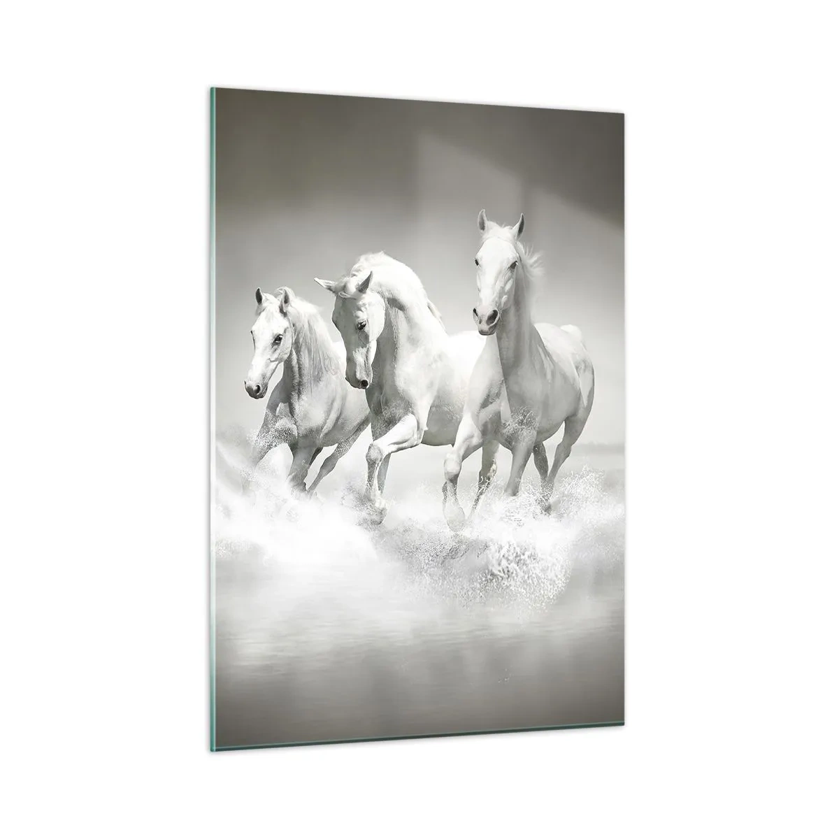Quadro em vidro - Loucura branca - 50x70 cm