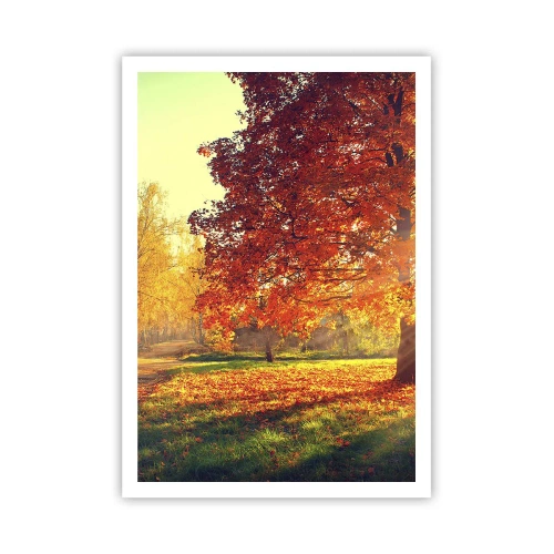 Pôster - O vermelho é lindo - 70x100 cm