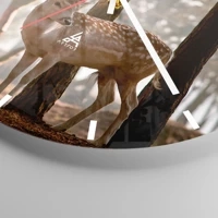 Mostrador com traços