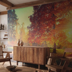 Papel de Parede Standard Eco - O vermelho é lindo - Paisagem, Parque, Natureza - 400x280 cm