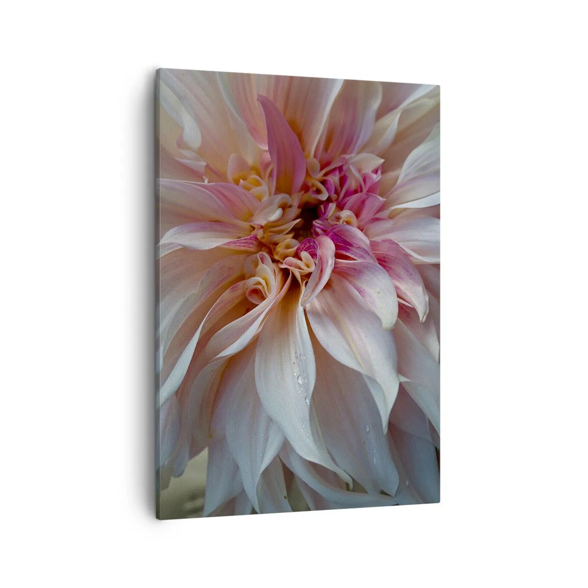 Quadro em tela - Frescor florescente - 50x70 cm