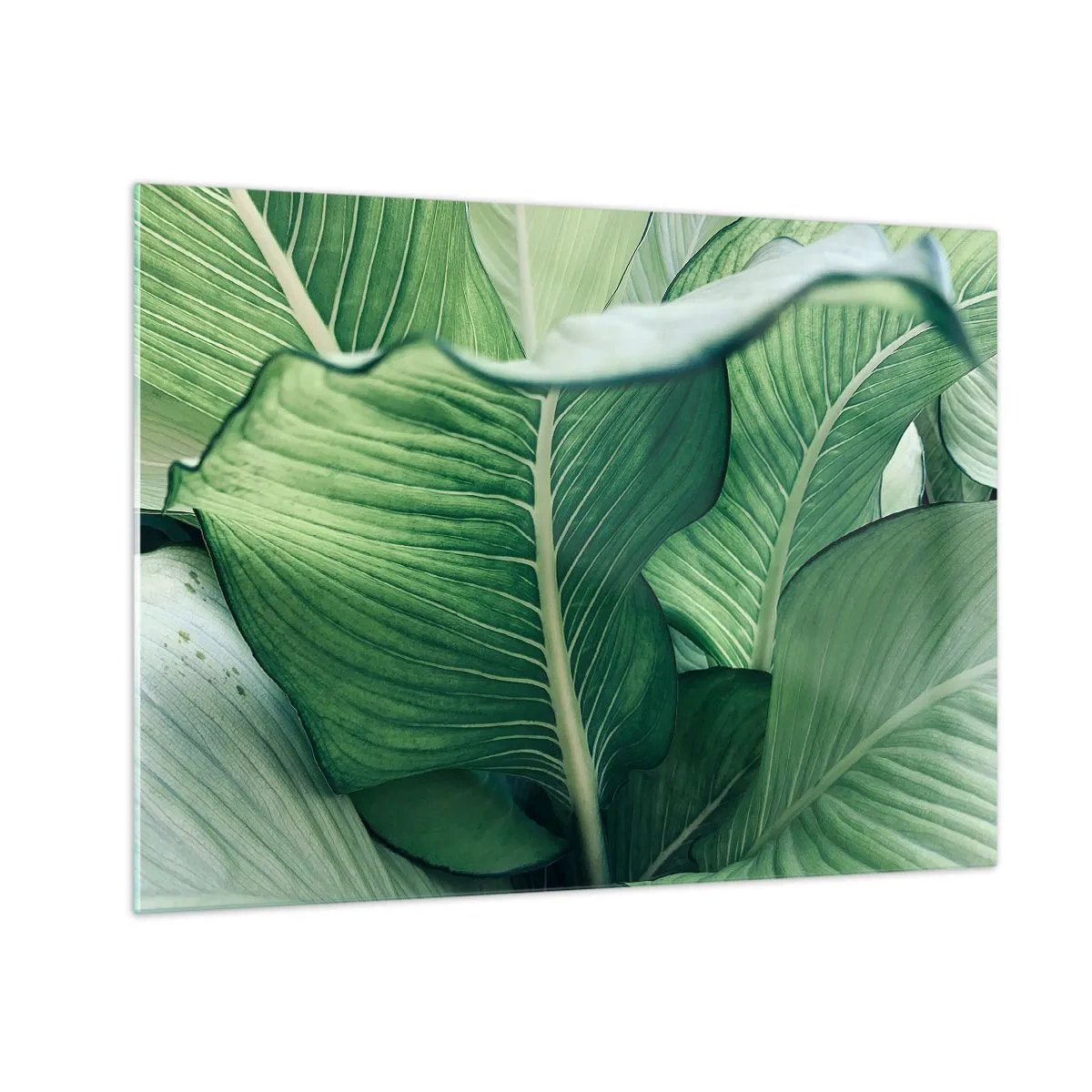 Quadro em vidro - Folhas verdes exuberantes em close-up e luz natural - 70x50cm - Vida intensamente verde - Decoração de parede moderna para a sala de estar e quarto ARTTOR