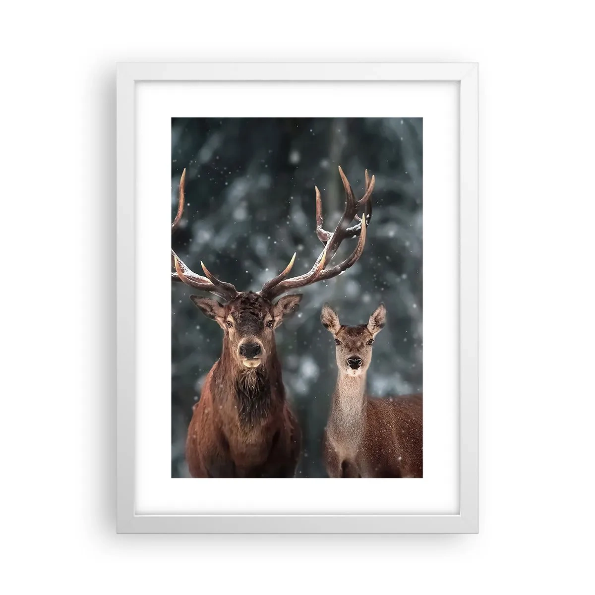 Pôster em moldura branca - O senhor da floresta com sua esposa - 30x40 cm