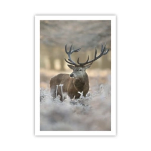 Pôster - Uma manhã fresca - 61x91 cm