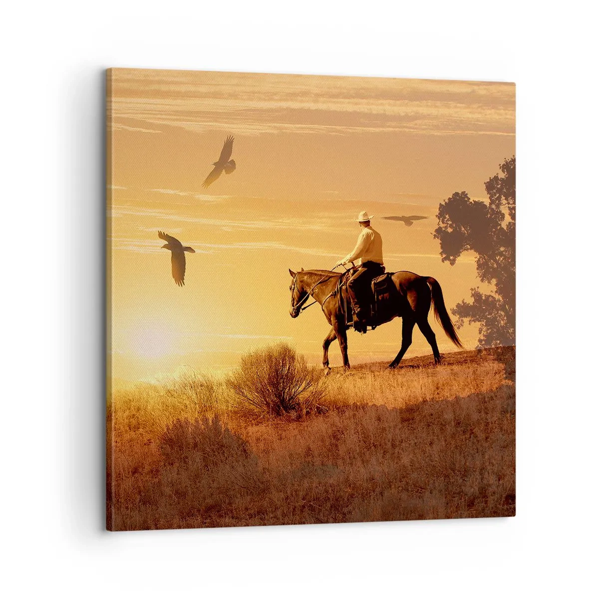 Quadro em tela - Sozinho em toda a pradaria - 60x60 cm