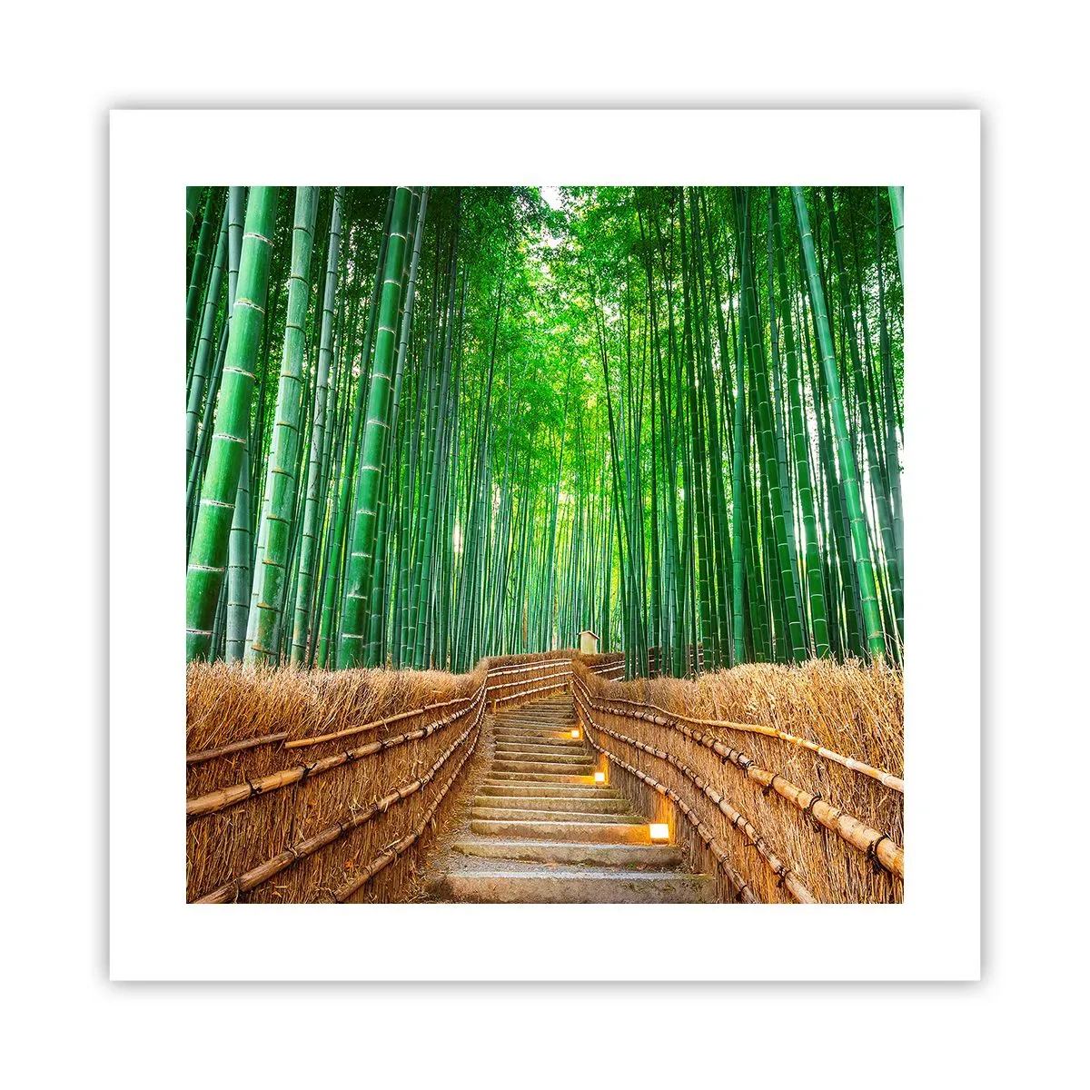 Pôster - A essência da natureza asiática - 40x40 cm