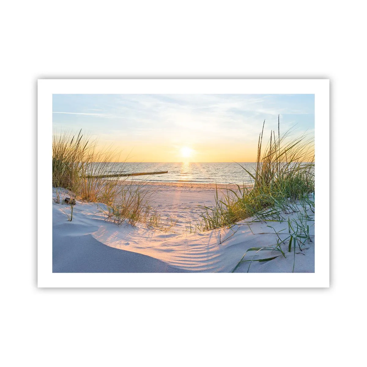 Pôster - O som do mar, o canto dos pássaros, a praia selvagem entre a relva... - 70x50 cm