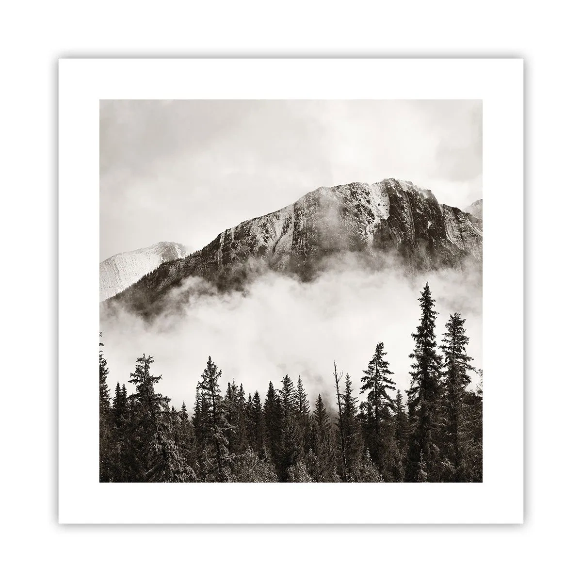 Pôster - O soberano de granito - 40x40 cm