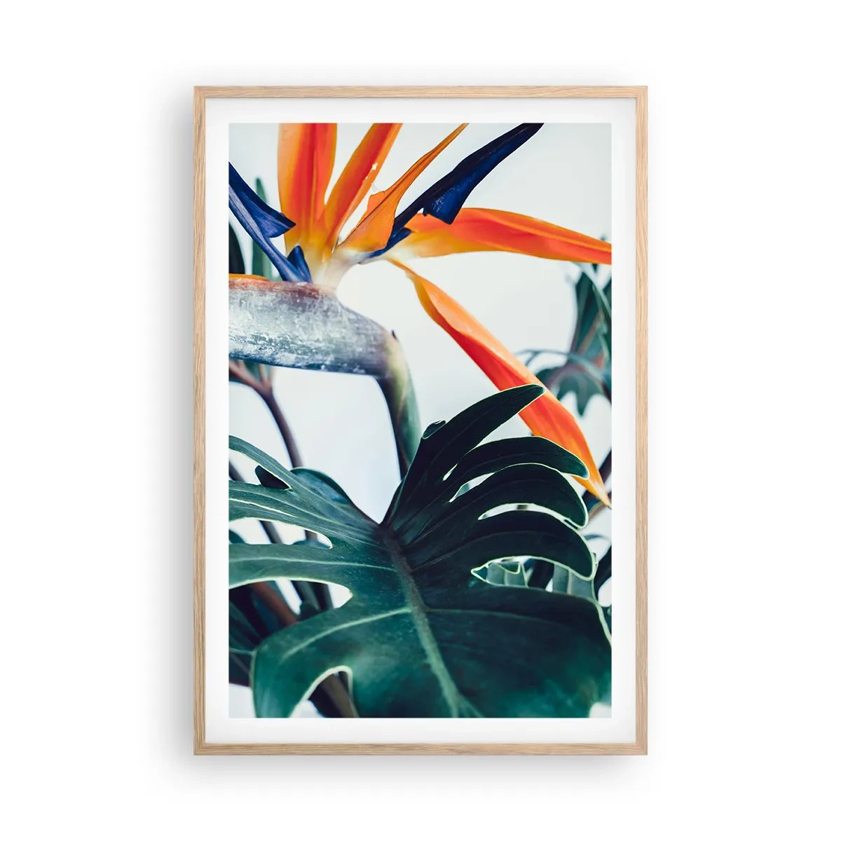 Pôster com moldura de carvalho claro - Arbusto de passarinho - 61x91 cm