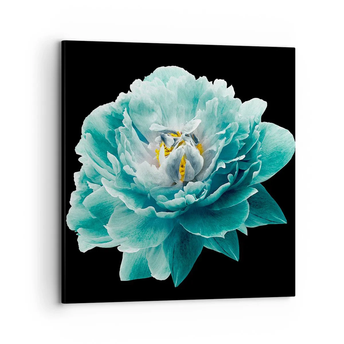 Quadro em tela - Pétalas azuis e douradas - 70x70 cm