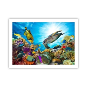 Pôster - Alameda dos corais - 70x50 cm