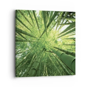 Quadro em tela - Em um bosque de bambu - 40x40 cm