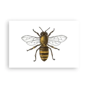 Pôster - Linda e boa - 91x61 cm