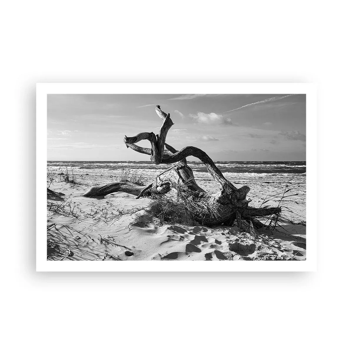 Pôster - Escultura do mar - 91x61 cm