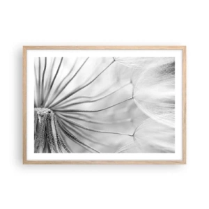 Pôster com moldura de carvalho claro - Dentes de leão, pipas - 70x50 cm