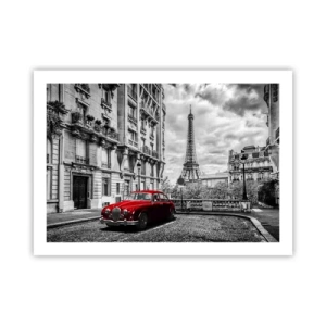 Pôster - Predador na cidade - 70x50 cm