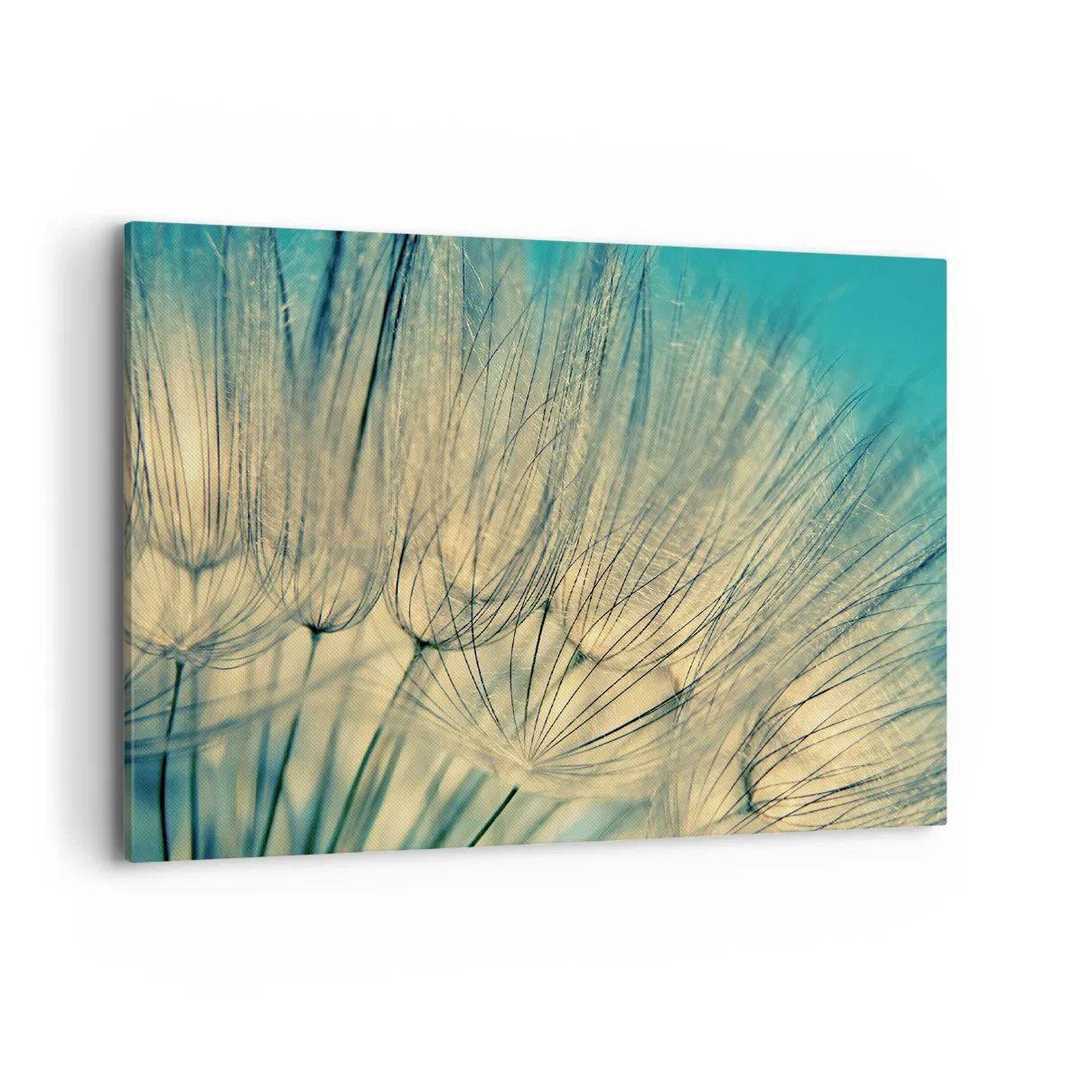 Quadro em tela - À espera do vento - 100x70 cm