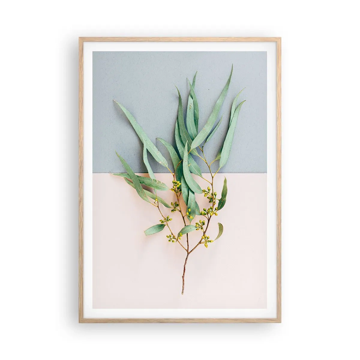 Pôster com moldura de carvalho claro - Sutileza pastel - 70x100 cm
