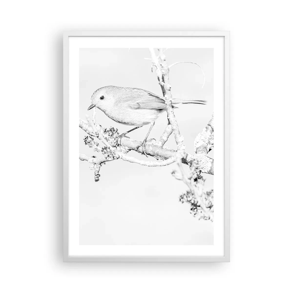 Pôster em moldura branca - Manhã de inverno - 50x70 cm