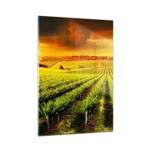 Quadro em vidro - Sob o sol australiano - 50x70 cm