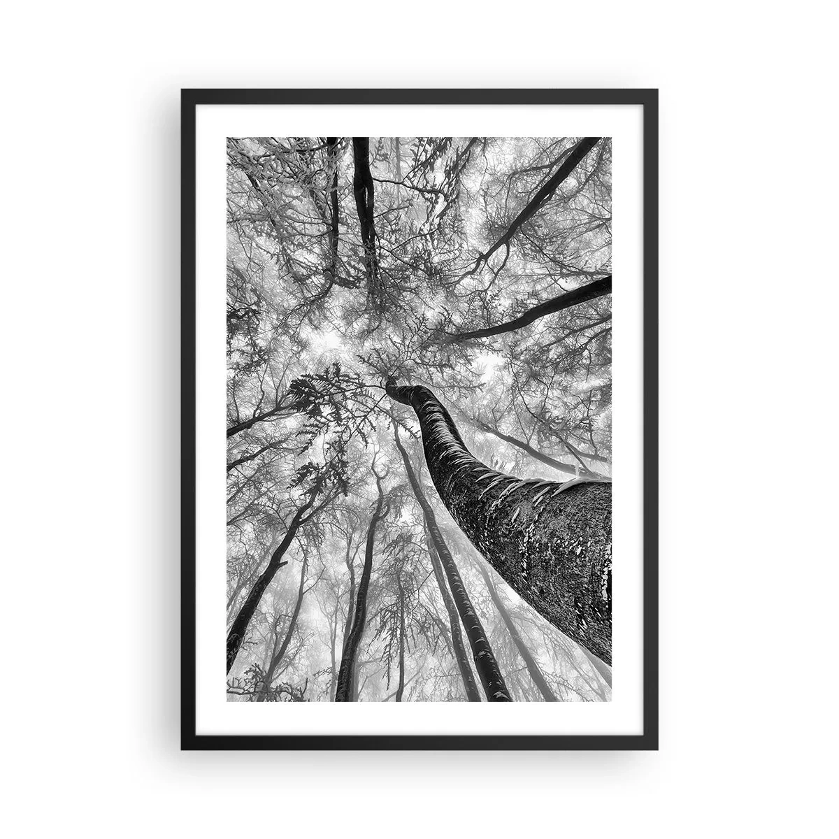 Pôster com moldura preta - Perspectiva de árvores em preto e branco - 50x70cm - Corrida até a luz - Decoração de parede moderna para a sala de estar e quarto ARTTOR