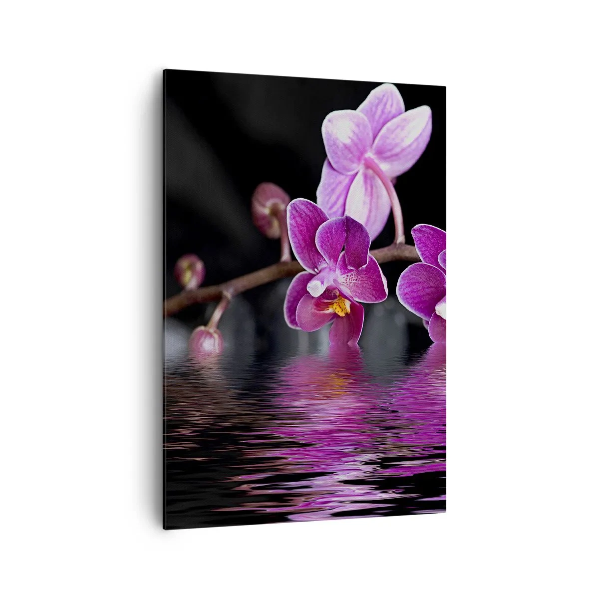 Quadro em tela - Reflexo lilás da beleza - 70x100 cm