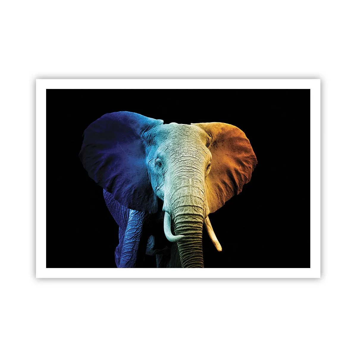 Pôster - Excêntrico, não esquisito - 100x70 cm