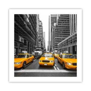 Pôster - Somos a cor da cidade - 50x50 cm