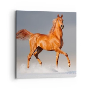 Quadro em tela - Graça Dançante - 70x70 cm