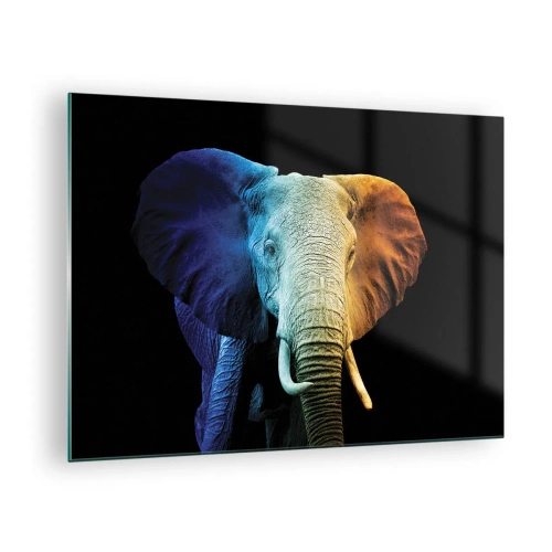 Quadro em vidro - Retrato colorido de um elefante em um fundo preto - 70x50cm - Excêntrico, não esquisito - Decoração de parede moderna para a sala de estar e quarto ARTTOR