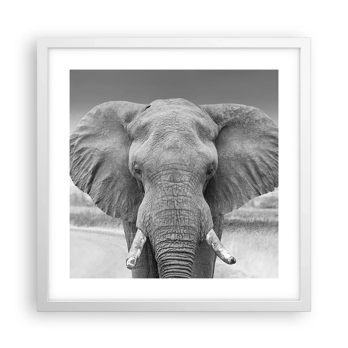 Pôster em moldura branca - Bem-vindo ao meu mundo - 40x40 cm