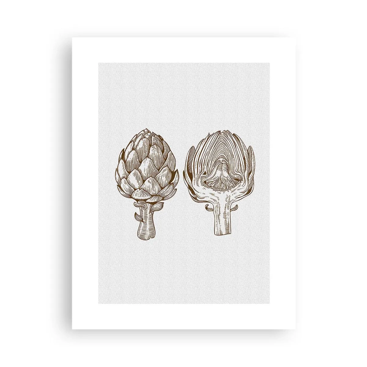 Pôster - Aula de anatomia - 30x40 cm