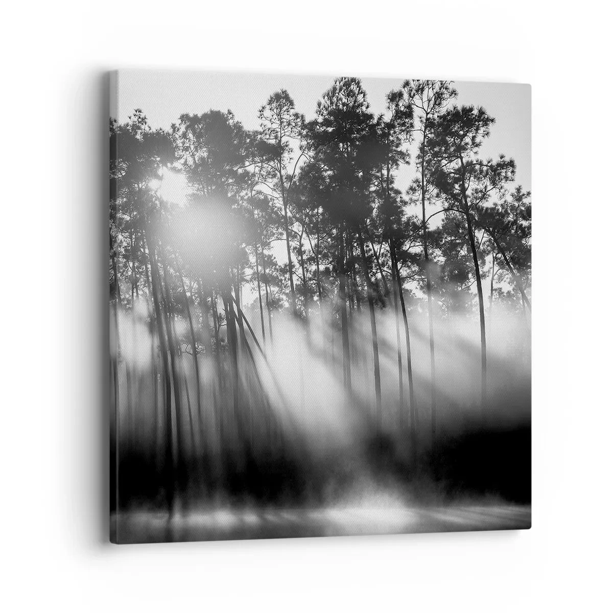 Quadro em tela - O sol imparável - 40x40 cm