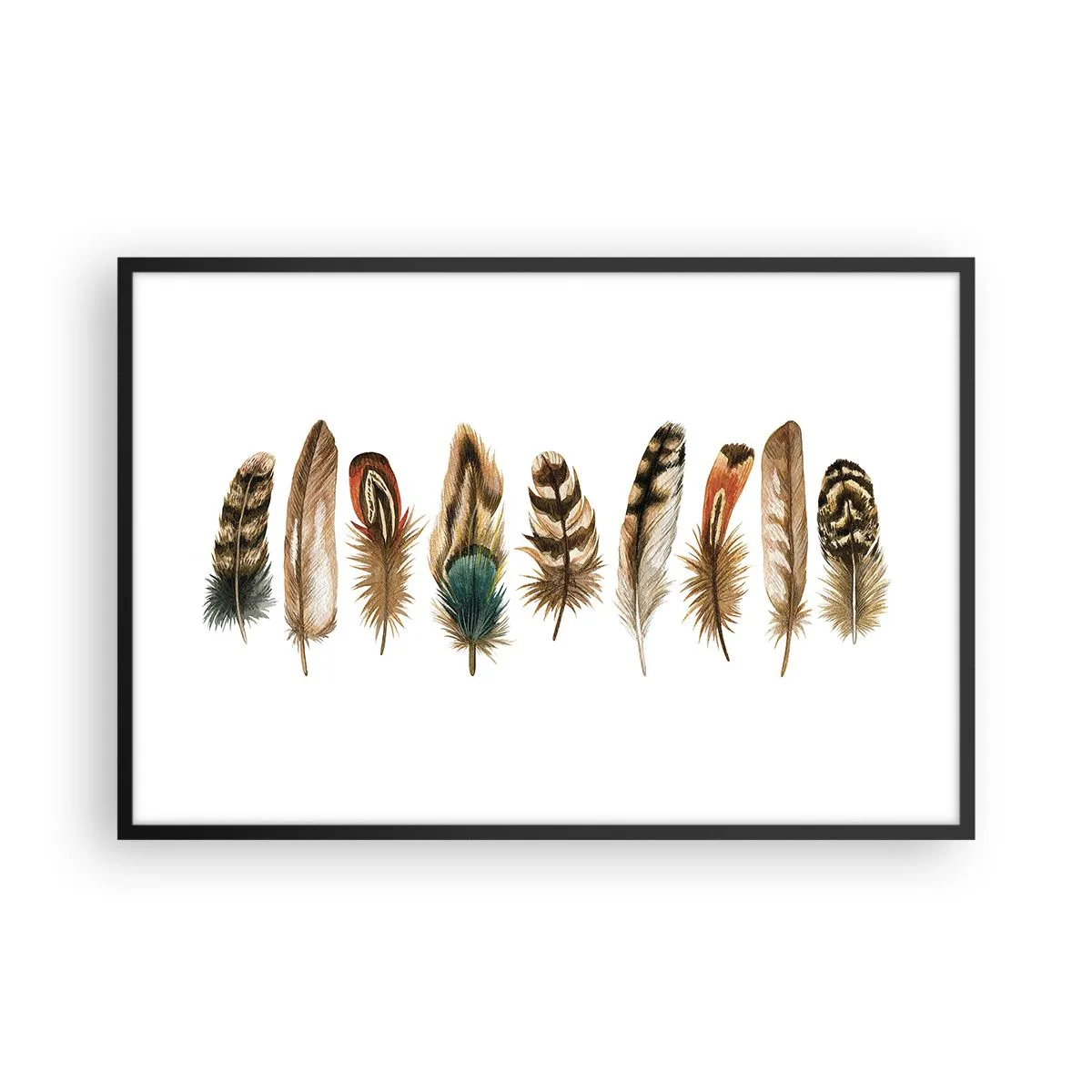 Pôster com moldura preta - Variações de penas - 91x61 cm