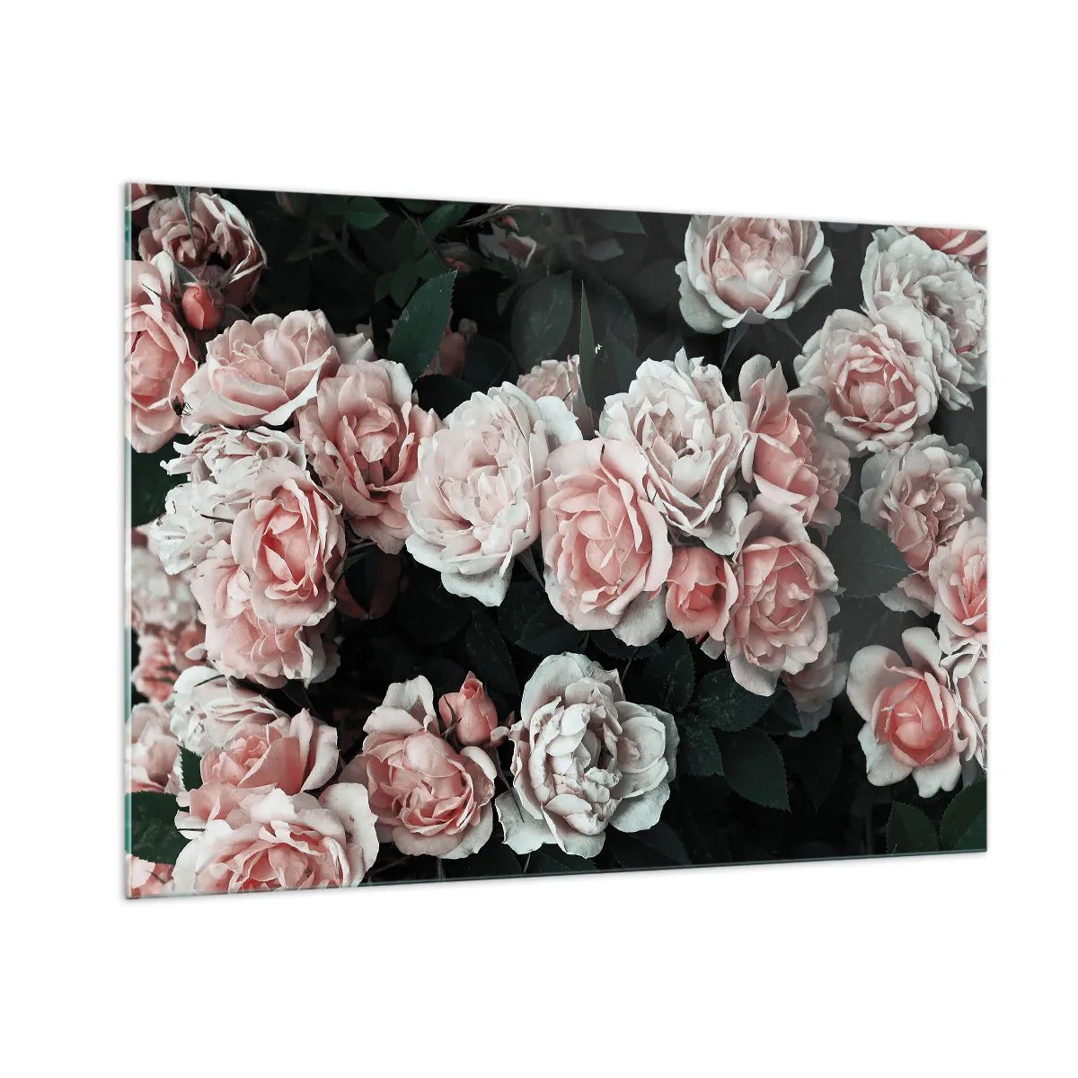 Quadro em vidro - Conjuntos de rosas - 100x70 cm