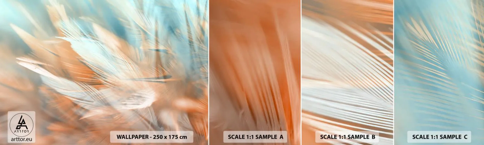 Amostra de Papel de Parede Standard Eco - Na terra da gentileza - Delicado, Penas, Minimalismo - 100x30 cm