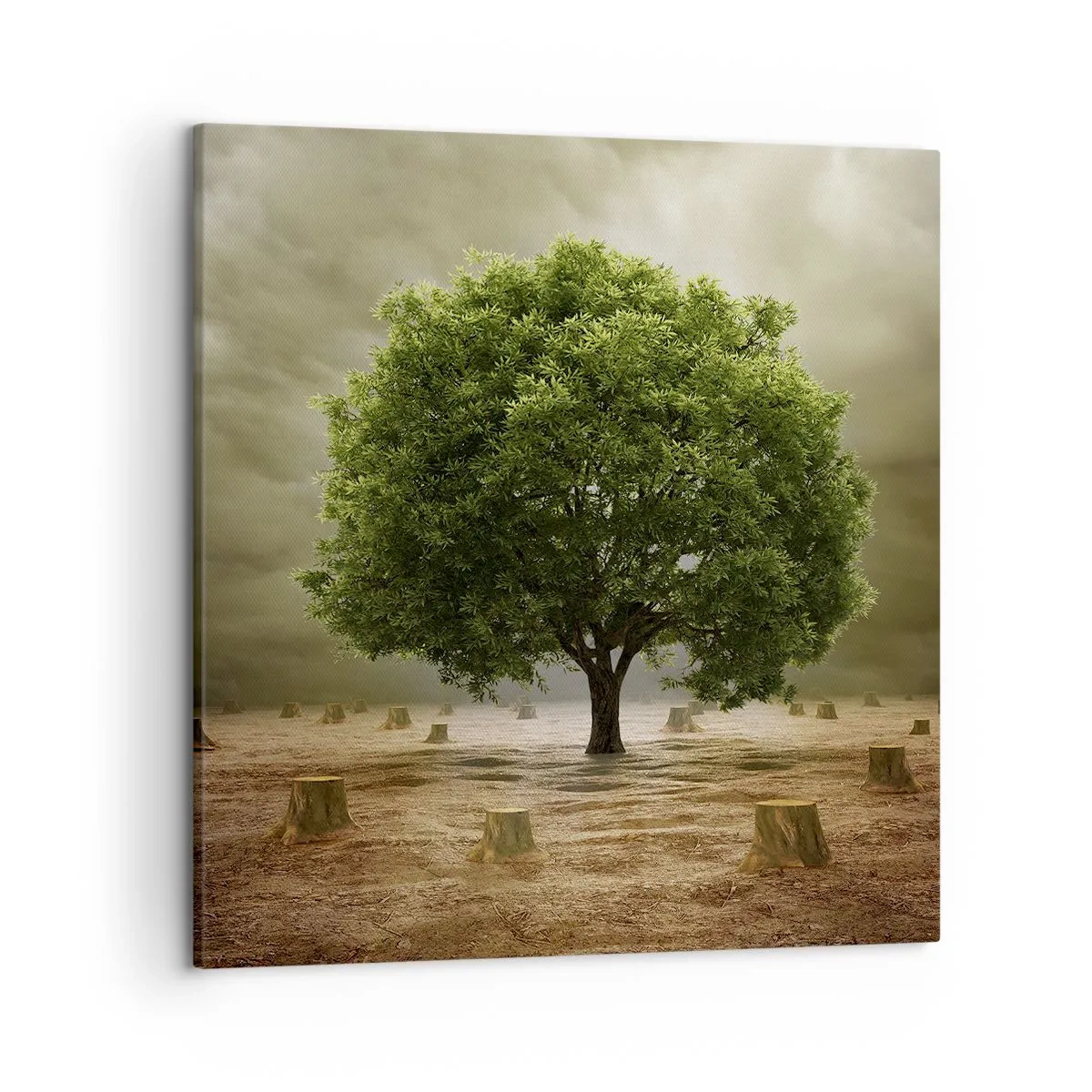 Quadro em tela - Toda a esperança - 50x50 cm