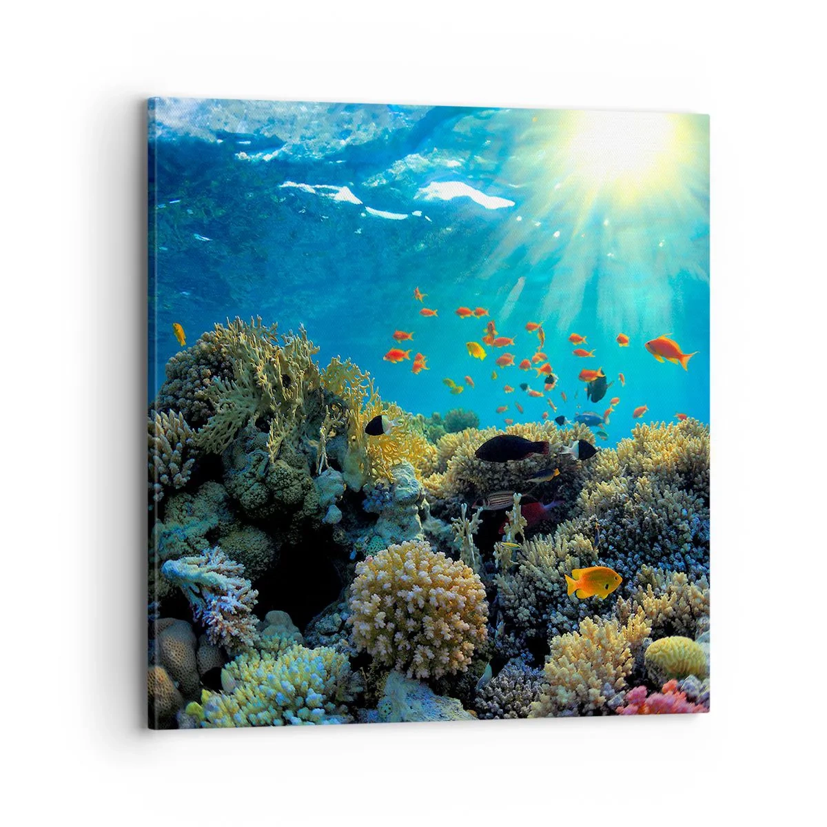 Quadro em tela - Tesouros subaquáticos - 70x70 cm