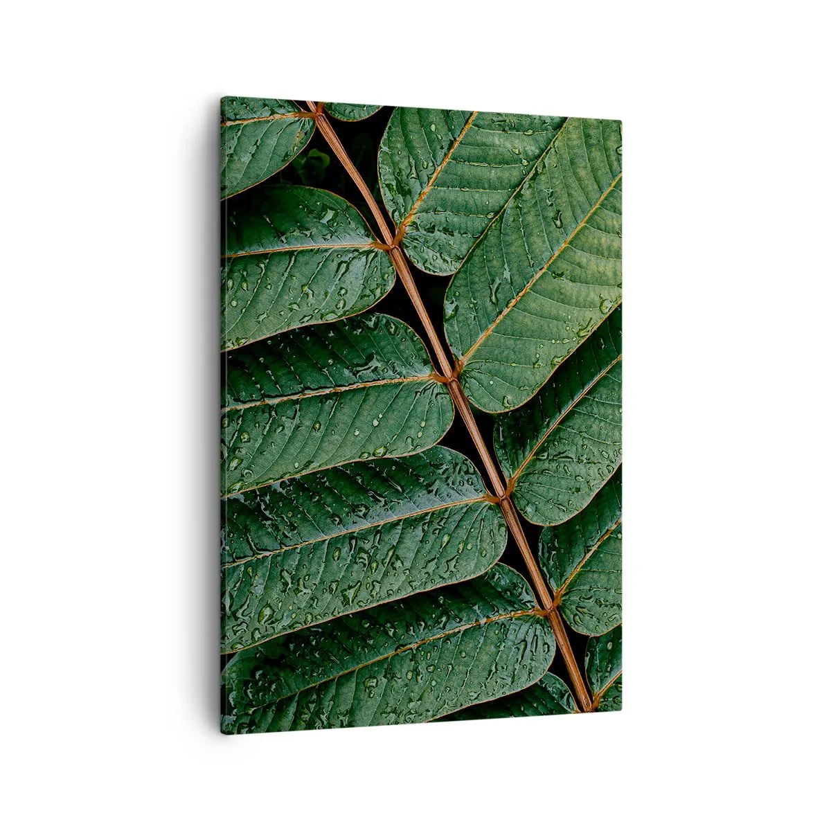 Quadro em tela - Num ritmo verde - 50x70 cm